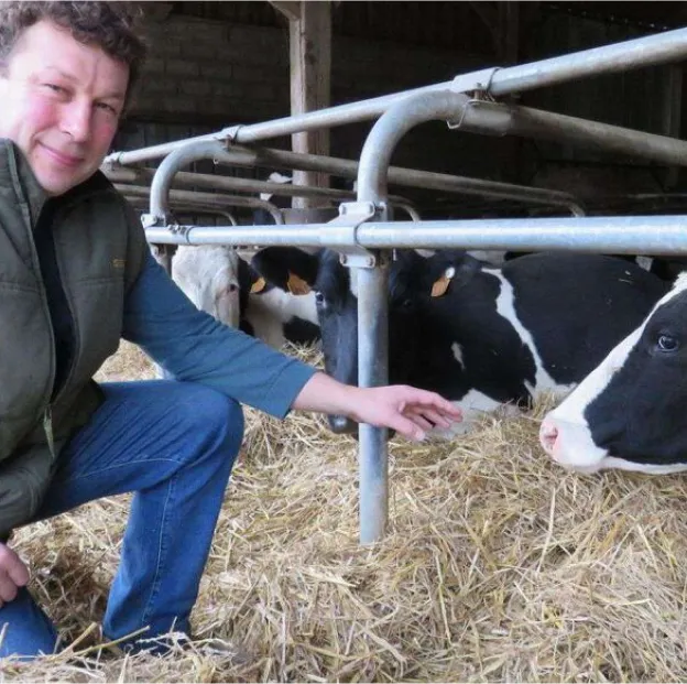 vache laitière locale à Villers-sur-Auchy dans l'Oise 60