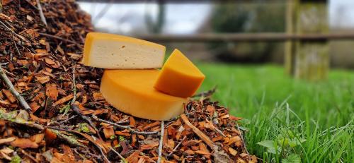 Tomme fumée Bio
