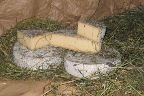 Tomme au Foin
